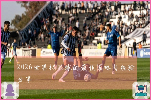 2026世界杯买球的最佳策略与经验分享