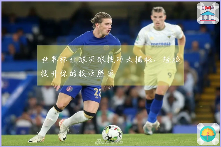世界杯让球买球技巧大揭秘，轻松提升你的投注胜率