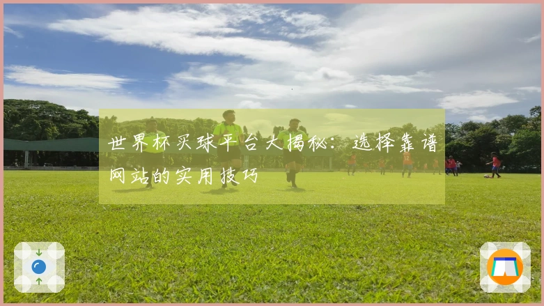 世界杯买球平台大揭秘：选择靠谱网站的实用技巧