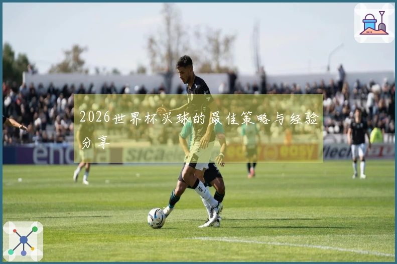 2026世界杯买球的最佳策略与经验分享