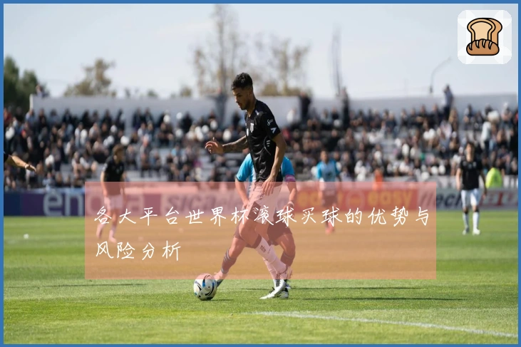各大平台世界杯滚球买球的优势与风险分析