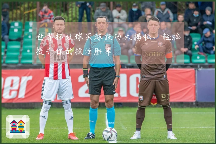 世界杯让球买球技巧大揭秘，轻松提升你的投注胜率