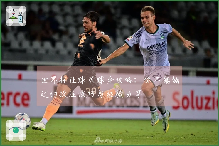 世界杯让球买球全攻略：你不能错过的投注技巧与经验分享
